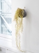hanging-moss-retail-display-props