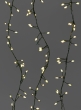 240 Warm White Fairy Lights On Green Cord, 9 1/2 Ft Long Cord