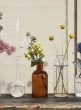 Amber Medicine Bottle Bud Vase, Set of 6