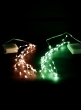50 String Light With Remote, Set of 2