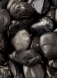 High Polished Black River Stones