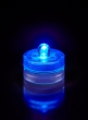 Blue Submersible LED Lights