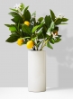 lemon branch arrangement in ceramic vase