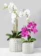 5 ¾in White Ceramic Studs Vase