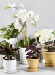 7 ½in White Ceramic Studs Vase