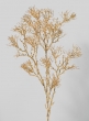 41in Gold Coral Branch
