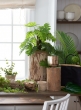 4 1/2in Paulownia Wood Pot, Set of 2