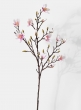 mini pink magnolia flowering branch