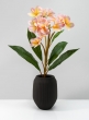 Oslo Chocolate Bouquet Vase