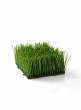 artificial green wheatgrass mat for display props and decor