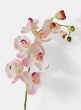 pink orchid silk flowers