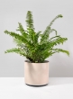 7 ¼in Rose Beige Linen Ceramic Cylinder Vase