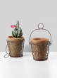 moss clay pot with wire carrier